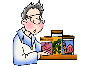300x225 Science Careers Clip Art Cliparts