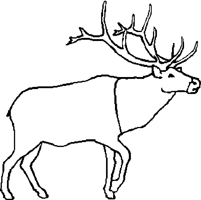 652x649 Caribou Clipart
