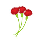 150x150 Carnation Outline Icon Royalty Free Vector Clip Art Image