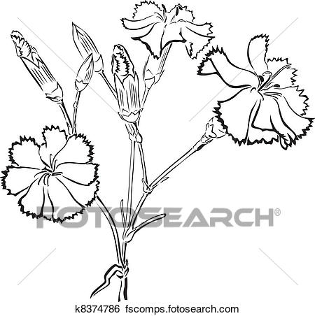 450x452 Clip Art Of Carnation K8374786