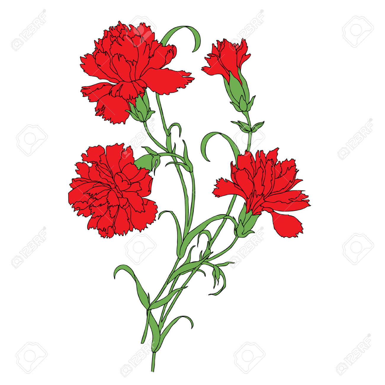 1300x1300 Vintage Flower Clipart Carnation