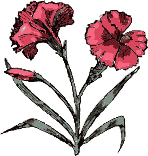 570x598 Carnation Flower Clip Art Free Vector In Open Office Drawing Svg