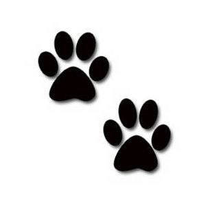 300x300 30 Best Wildcats Images Monogram Canvas, Cutting