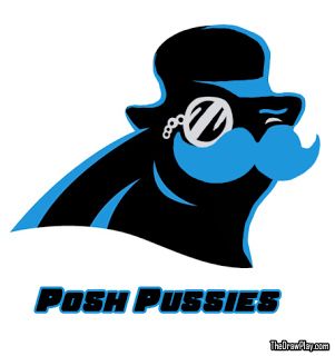 301x320 Die Besten Carolina Panthers Memes Ideen Auf