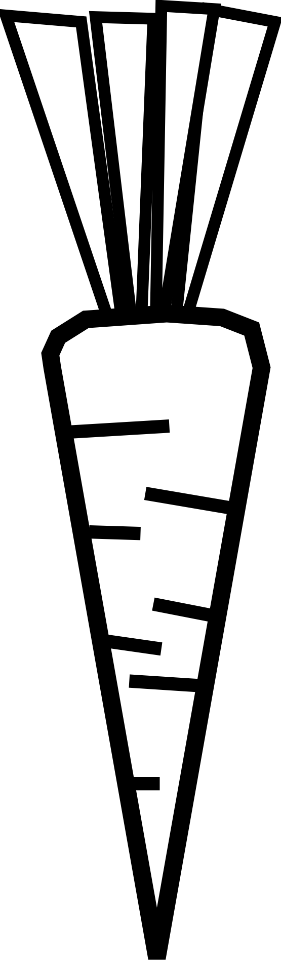 555x1909 Carrot Black And White Clipart