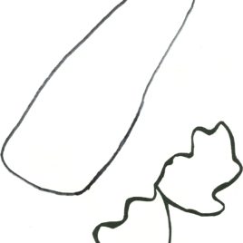 268x268 Carrot Black And White Outline Coloring Page Free Az Carrot Nose