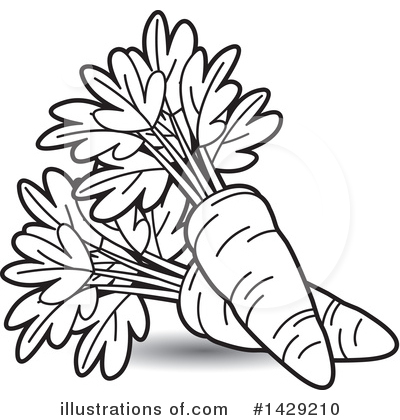 400x420 Carrot Clipart