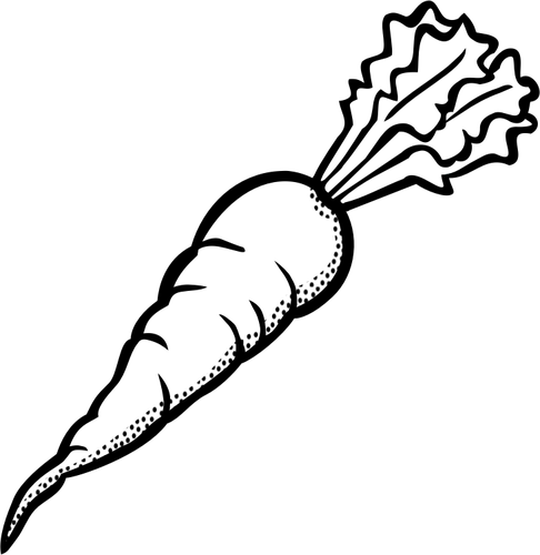 486x500 Carrot Clipart Black And White
