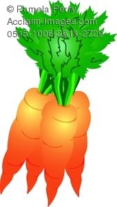 Carrot Clipart