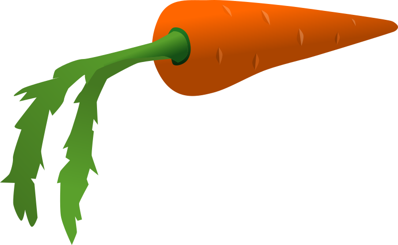 800x494 Free To Use Amp Public Domain Carrot Clip Art