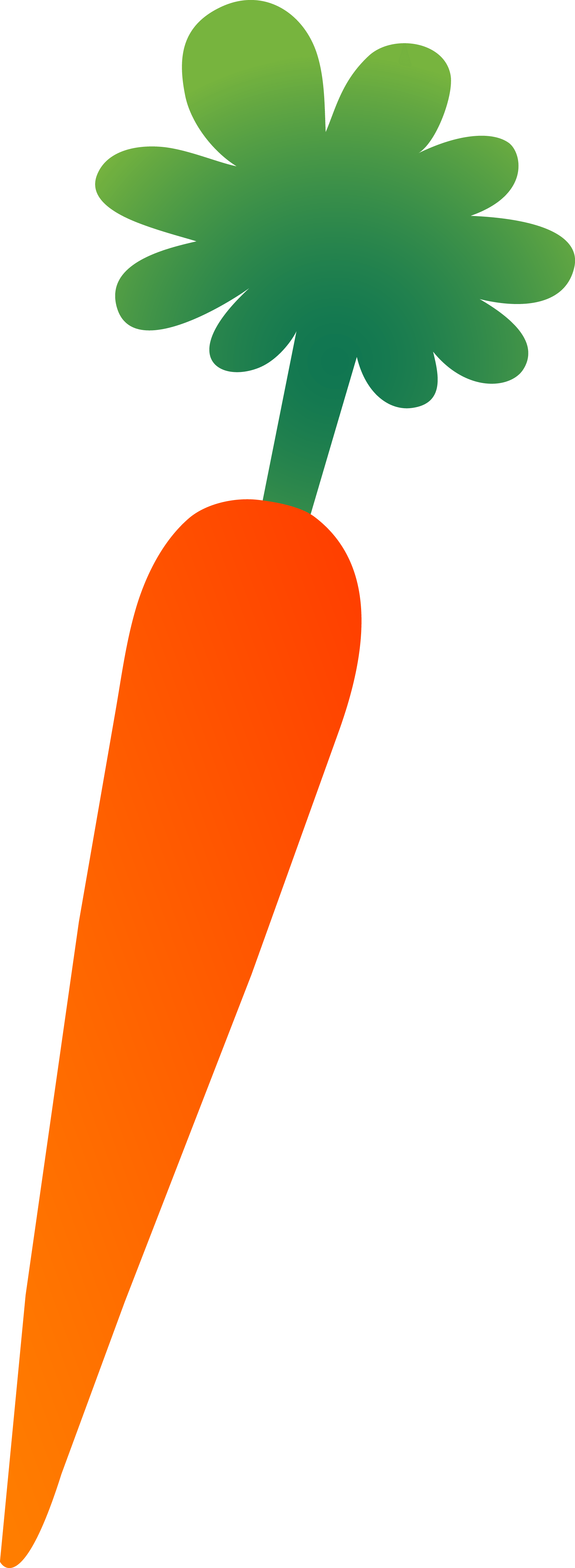 1777x4848 Orange Carrot Cliparts 241273