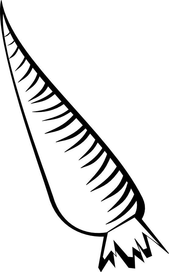 555x891 Carrot Clipart Black And White Clipart Panda