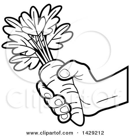 450x470 Carrot Clipart Hand Holding