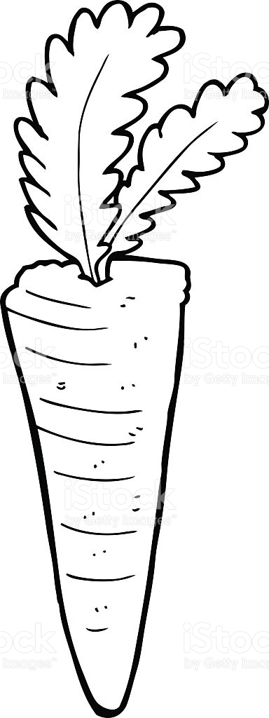 384x1024 Carrot Clipart Line Drawing