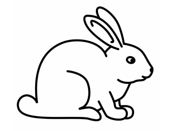 570x428 Black And White Clipart Of Rabbit