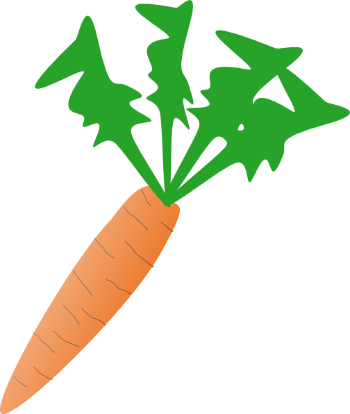 504x596 Carrot Clip Art