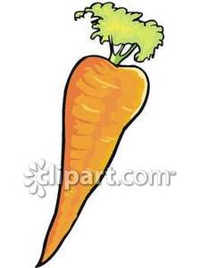 225x300 Carrot