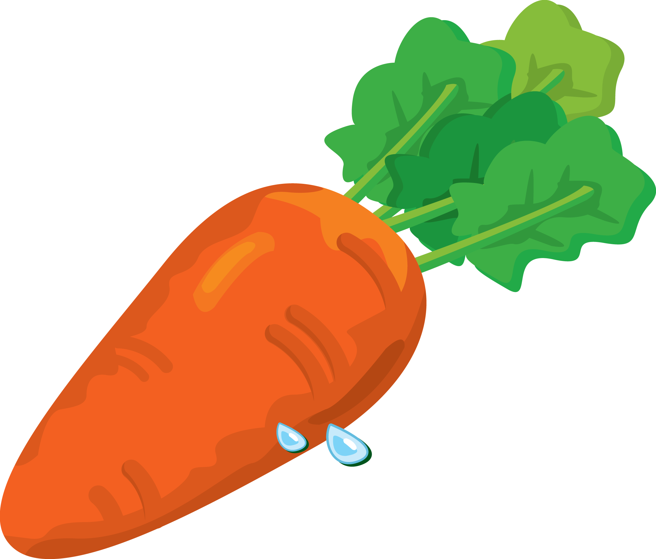 2280x1943 Carrot Clipart Animated