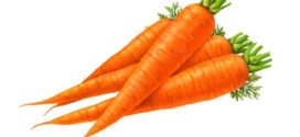 272x125 Carrot Clipart Free Clipart Images