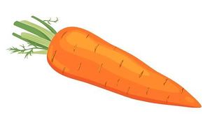 300x169 Carrot Clip Art Free Images Clipart Panda