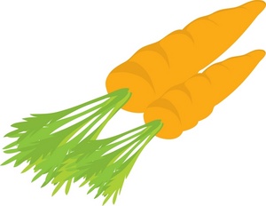 300x232 Free Carrot Clipart Image 0071 0907 0609 0639 Best