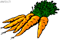239x160 Carrots Clip Art Clipart Panda