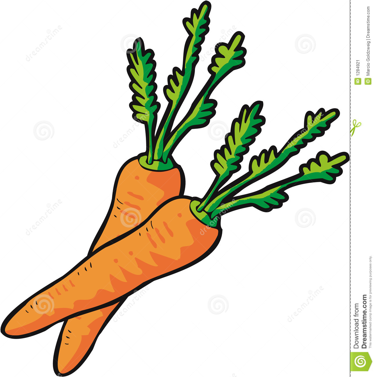 1294x1300 Drawing Clipart Carrot