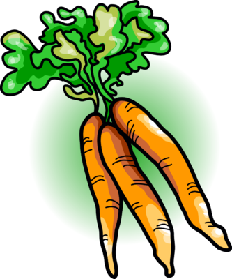 333x400 Image Carrots Food Clip Art