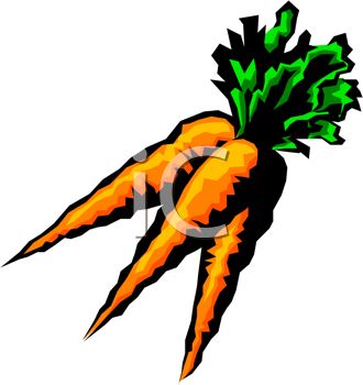 330x350 Picture Of Fresh Carrots From The Garden In A Vector Clip Art