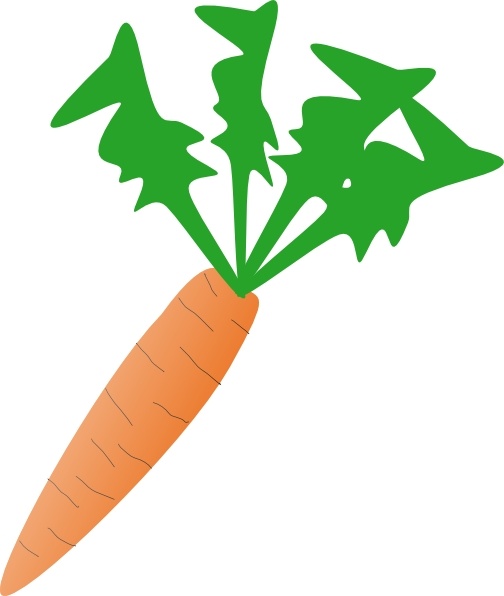 504x596 Carrot Clip Art Free Vector In Open Office Drawing Svg ( Svg