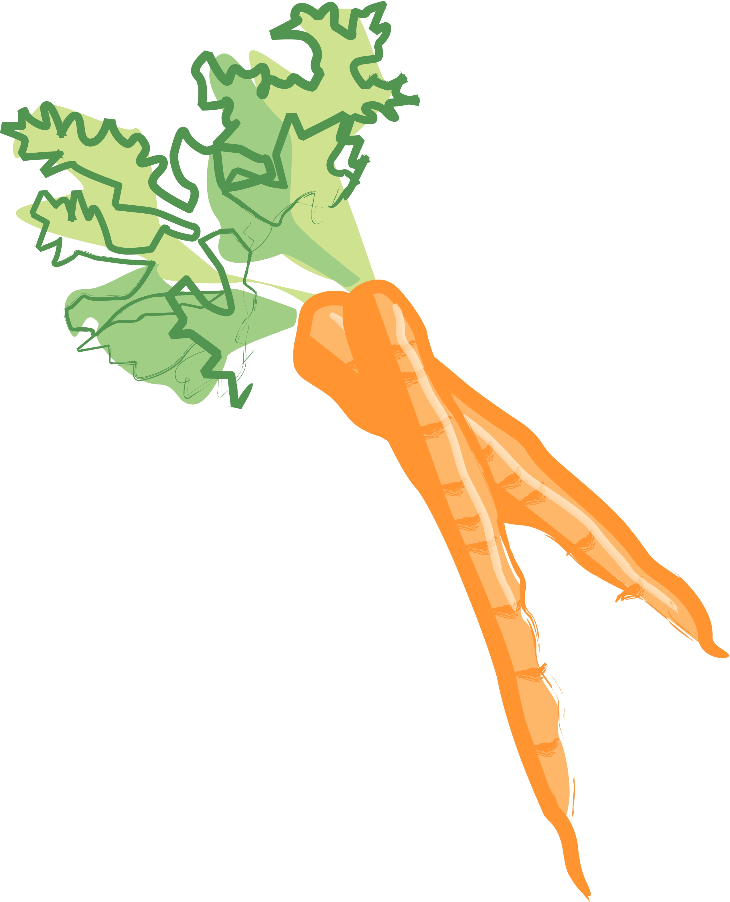 2550x3150 Carrot Clipart 19