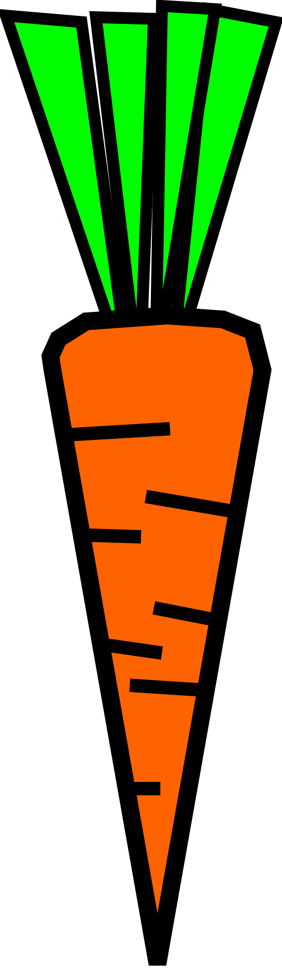 555x1909 Carrots Clip Art Clipart