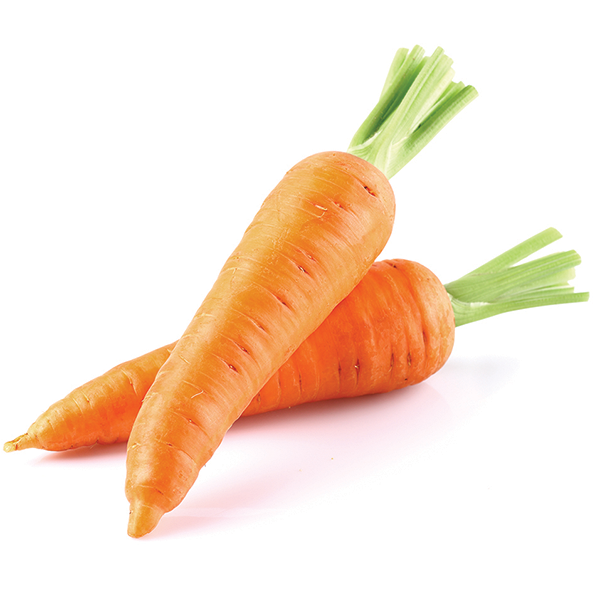 600x600 Carrots Produce Market Guide