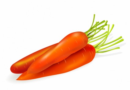 425x293 Carrots Clip Art Download