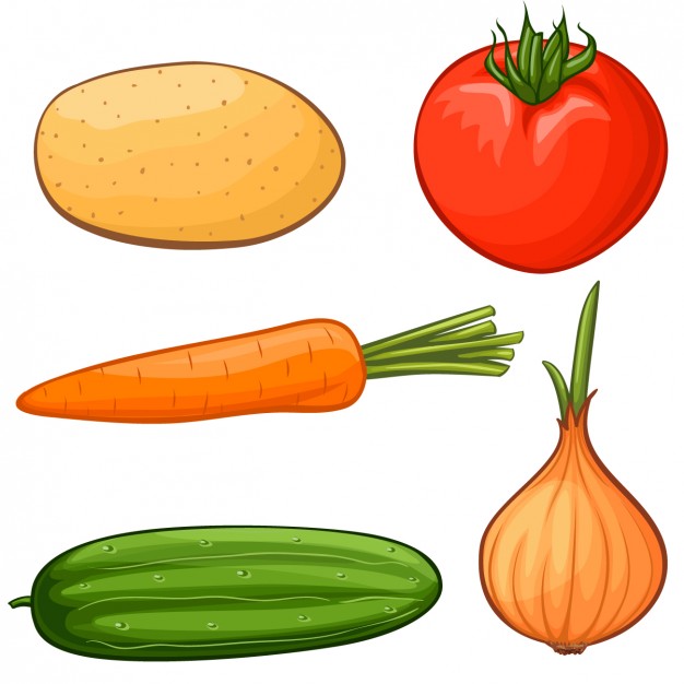 626x626 Carrots Vectors, Photos And Psd Files Free Download