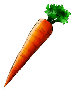 249x304 Fun Facts Great British Carrots