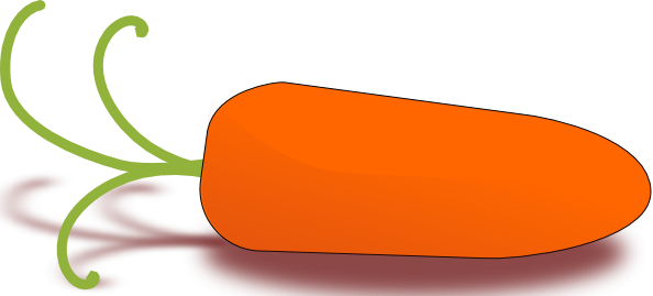 594x269 Baby Carrots Clipart