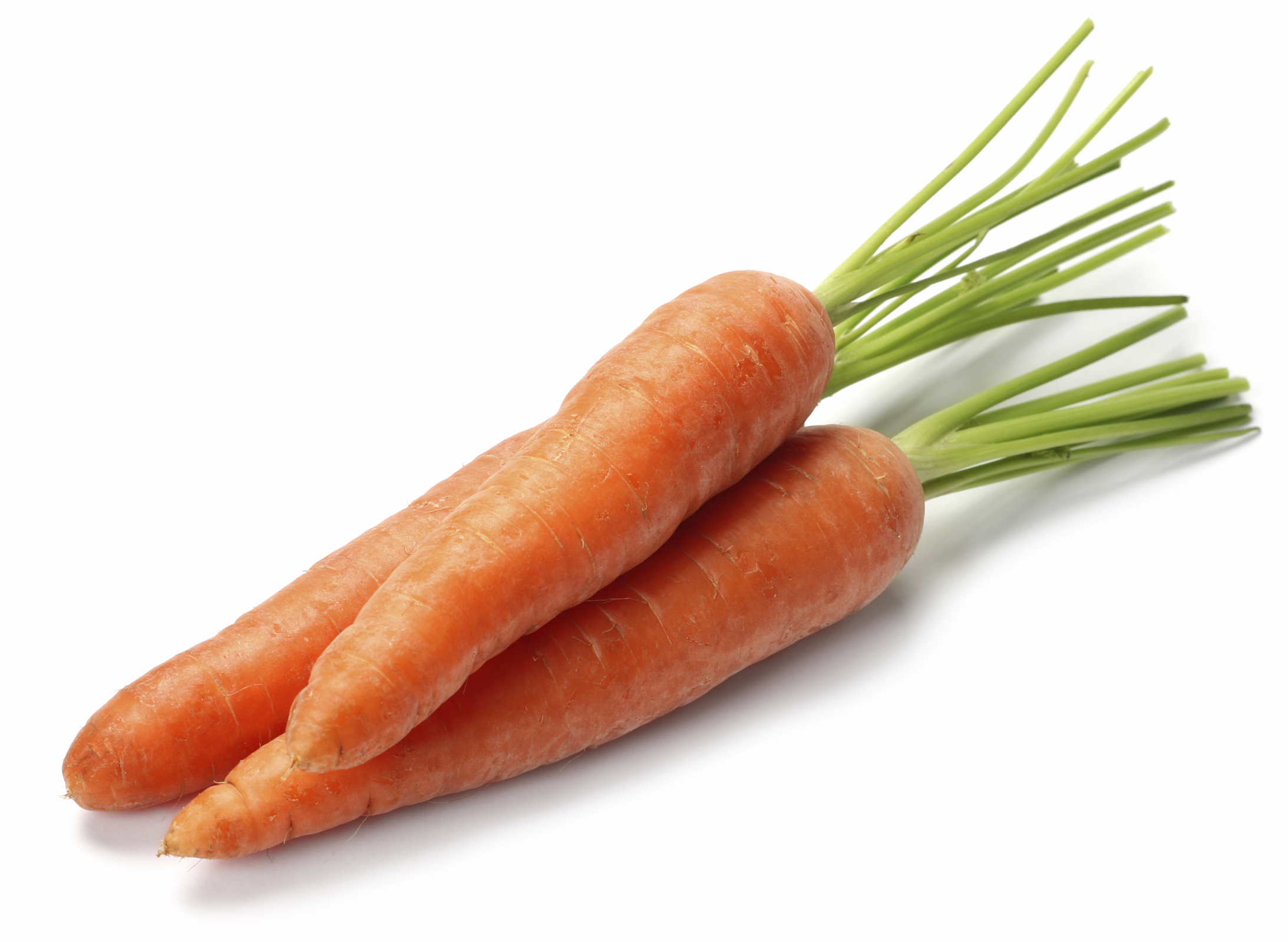 2186x1599 Boost The Bottom Line With Carrots The Staffing Stream