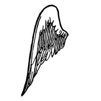 350x350 Pictures Angel Wings Cartoon Left Clip Art Image