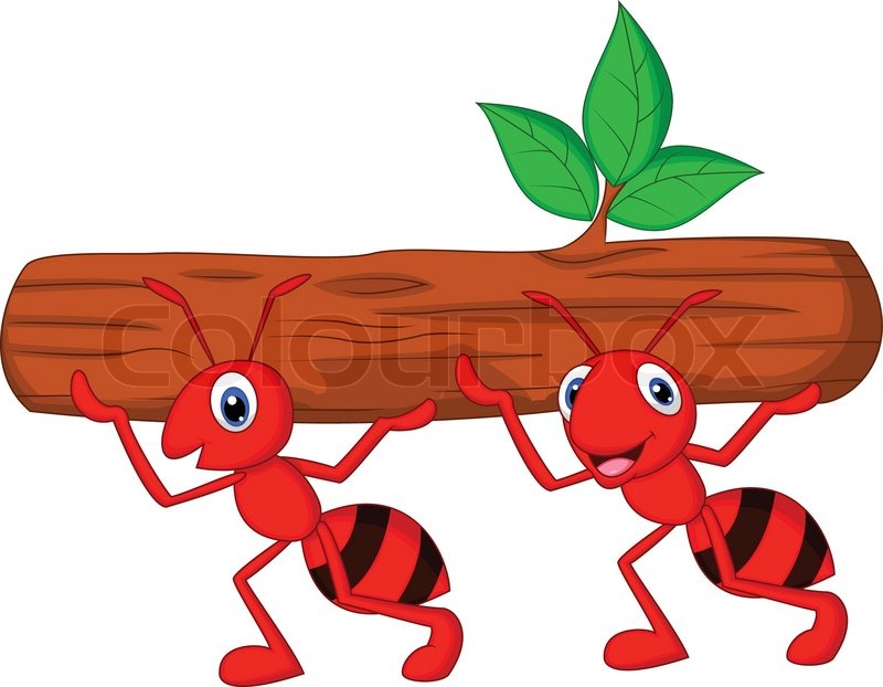 800x622 Vector Illustration Of Team Of Ants Cartoon Carries Log Stock