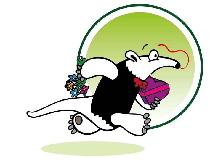 736x544 37 Best Tamandua