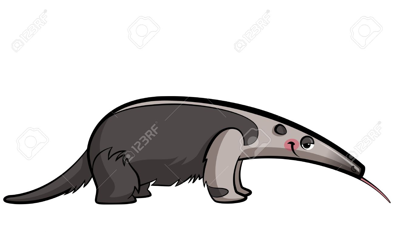 1300x765 Top 82 Anteater Clipart