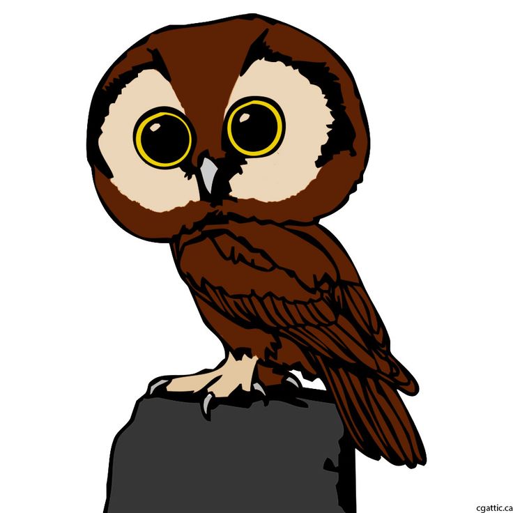 736x736 Best Owl Cartoon Ideas Cartoon Owl Drawing, Owl