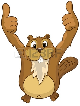 338x450 4,531 Beaver Stock Illustrations, Cliparts And Royalty Free Beaver
