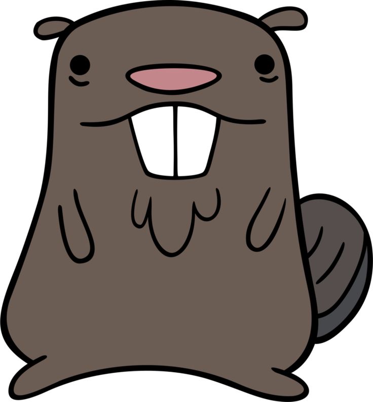 736x793 Drawn Beaver Cute
