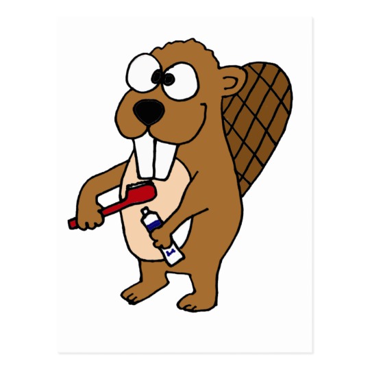 540x540 Funny Beaver Brushing Teeth Cartoon Postcard
