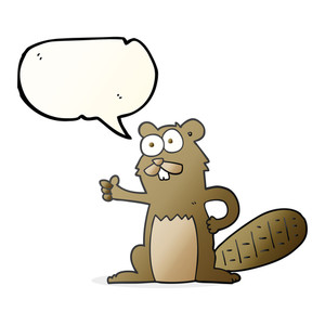 300x300 Freehand Drawn Speech Bubble Cartoon Beaver Graduate Royalty Free