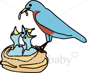 300x254 Bird's Nest Clipart Bird Family