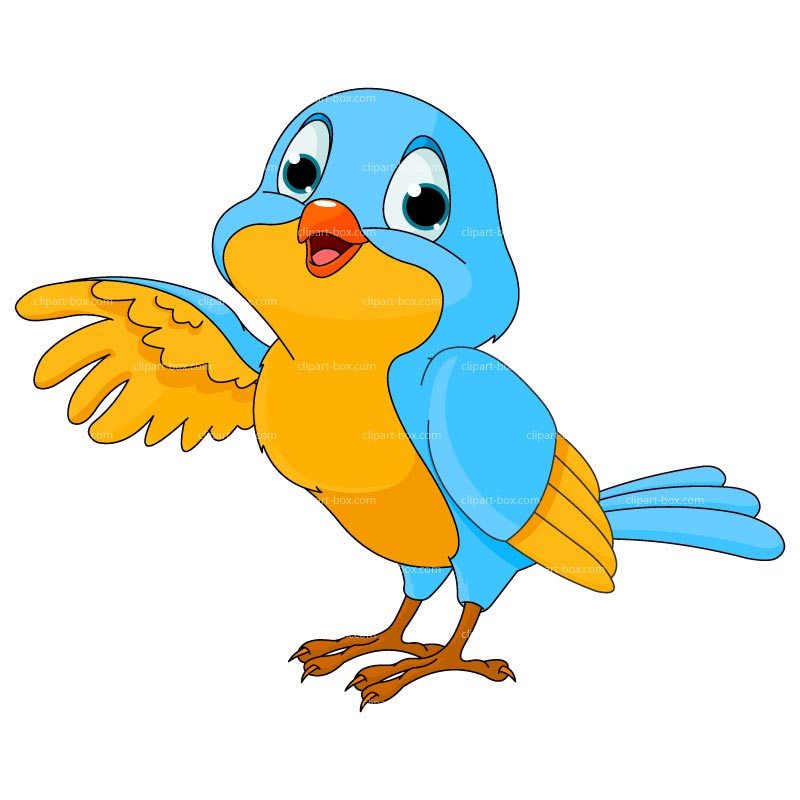 800x800 Bird Cartoon Clipart Clipart Kid