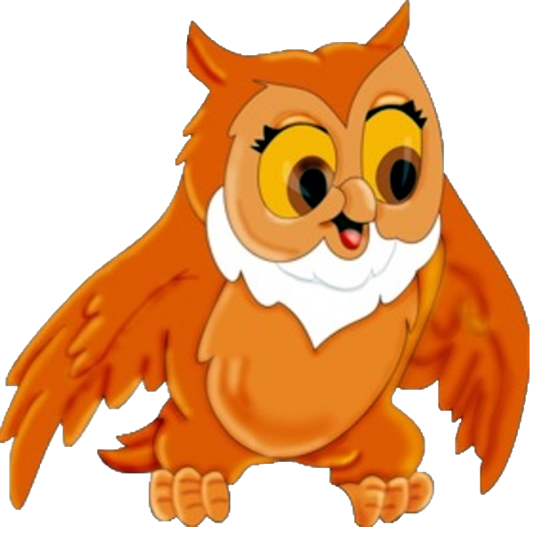 600x600 Owl'S